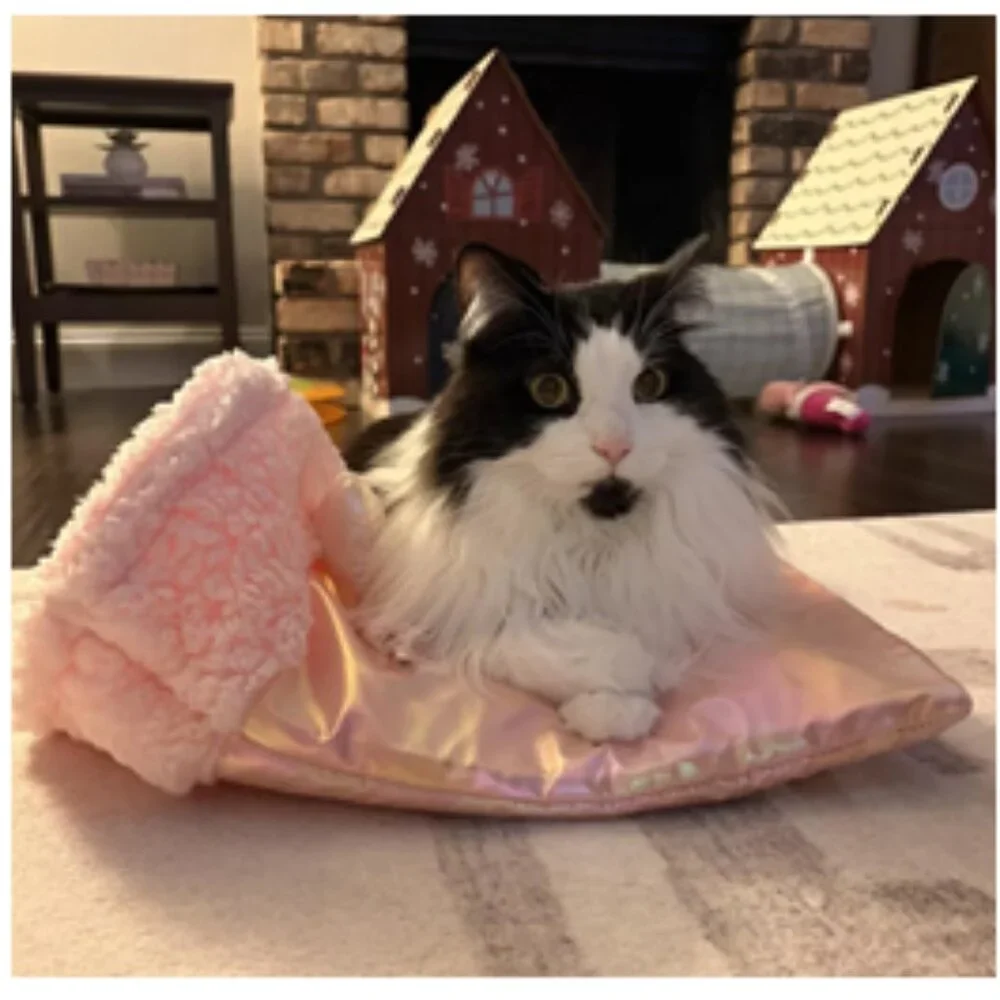 NWT ~ Boots & Barkley Pink Colored Sherpa Plush Cat Crinkle Bag Toy/Sleeping Bag